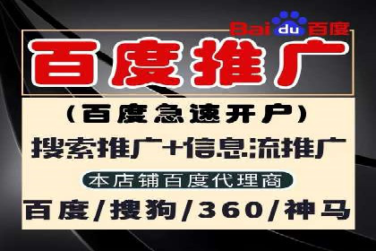百度推广技巧分享：成功案例解析